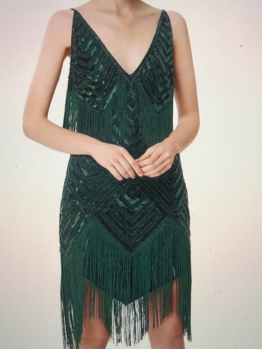 1920 Flapper Dress - Beaded Fringe V Neck - NWT - Size 3X - Dress or Costume